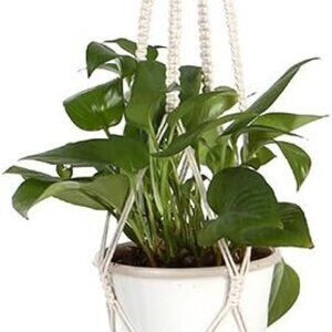 (3 Pack) Bohemien BOHO  Macrame Plant Hanger Set